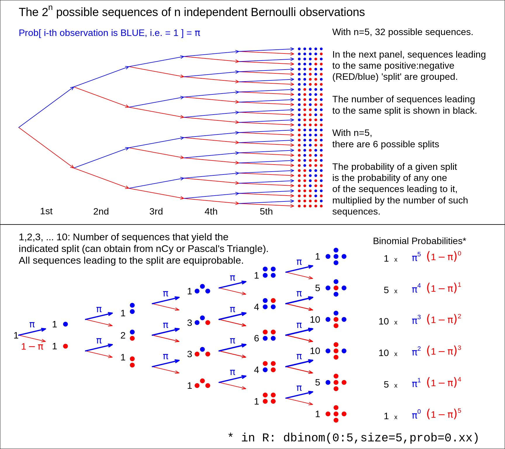 From 5 (independent and identically distributed) Bernoulli observations to Binomial(n=5), with the Bernoulli probability left unspecified. There are 2 to the power n possible (distinct) sequences of 0's and 1's, each with its probability. We are not interested in these 2 to the power n probabilities, but in the probability that the sample  contains y 1's and (n-y) 0's. There are only (n+1) possibilities for y, namely 0 to n. Fortunately, each of the n.choose.y sequences that lead to the same sum or count y, has the same probability. So we group the 2.to.power.n sequences into (n+1) sets, according to the sum or count. Each sequence in the set with  y 1's and (n-y) 0's has the same probability, namely  the prob.to.the.power.y times (1-prob).to.the.power.(n-y). Thus, in lieu of adding all such probabilities, we simply multiply this  probability by the number, n.choose-y -- shown in black -- of unique sequences in the set. Check: the frequencies in black add to 2.to.power.n. Nowadays, the (n+1) probabilities are easily obtained by supplying a value for the 'prob' argument in the R function dbinom(), instead of  computing the binomial coefficient n.choose-y by hand.